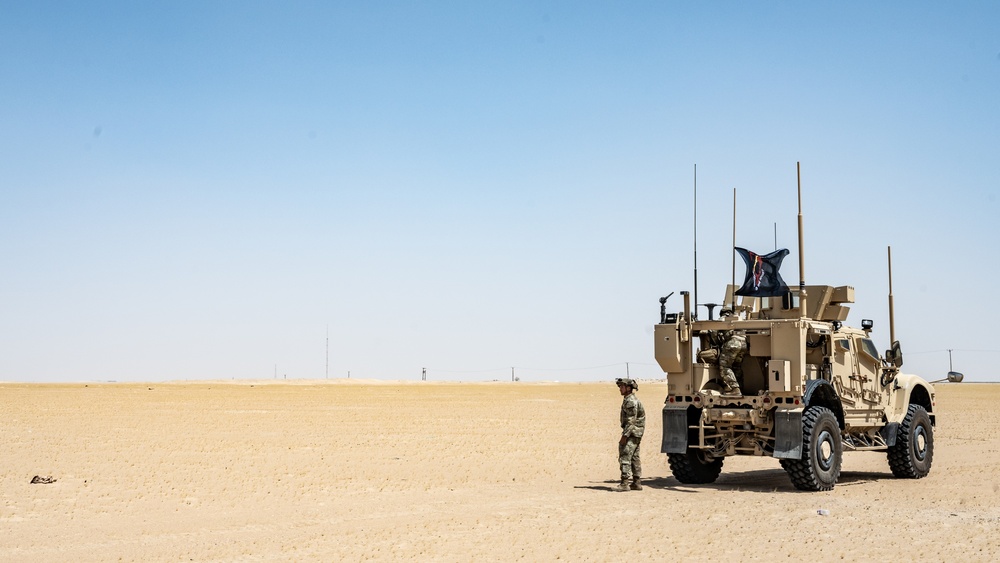 Military Working Dogs Go for a Ride