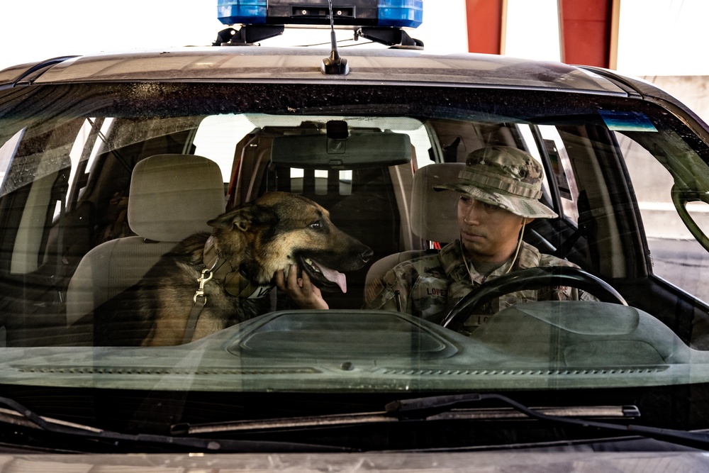 Military Working Dog Team Inspects and Protects