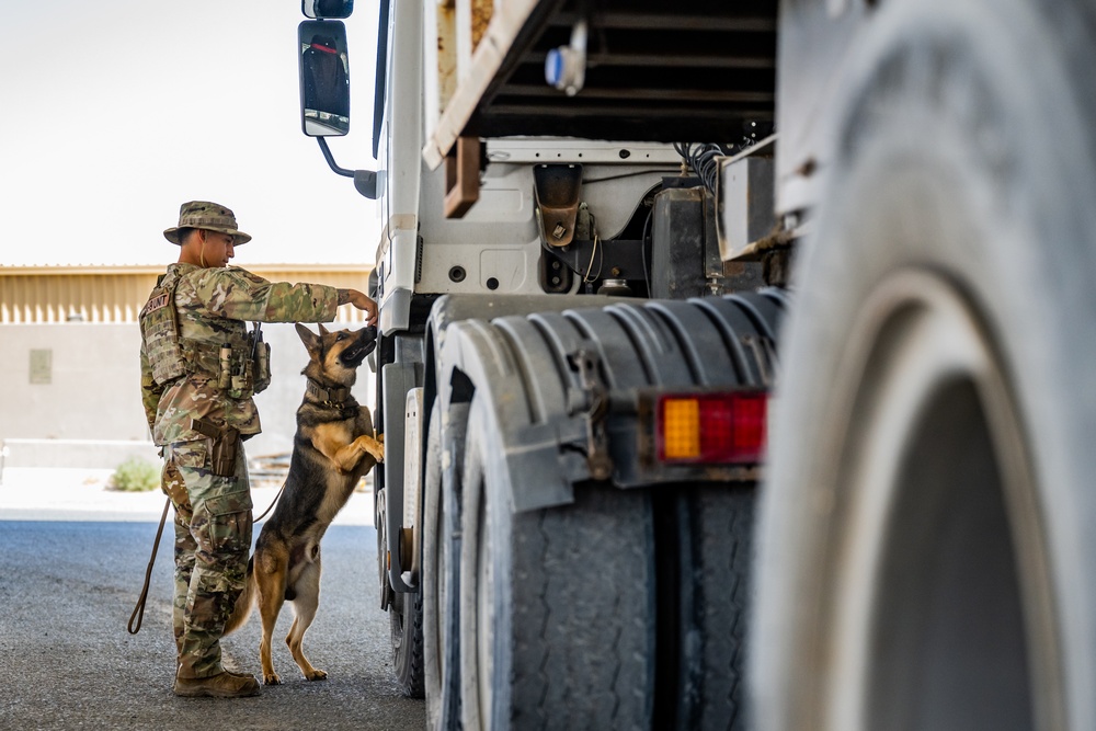 Military Working Dog Team Inspects and Protects