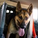 Military Working Dog Team Inspects and Protects