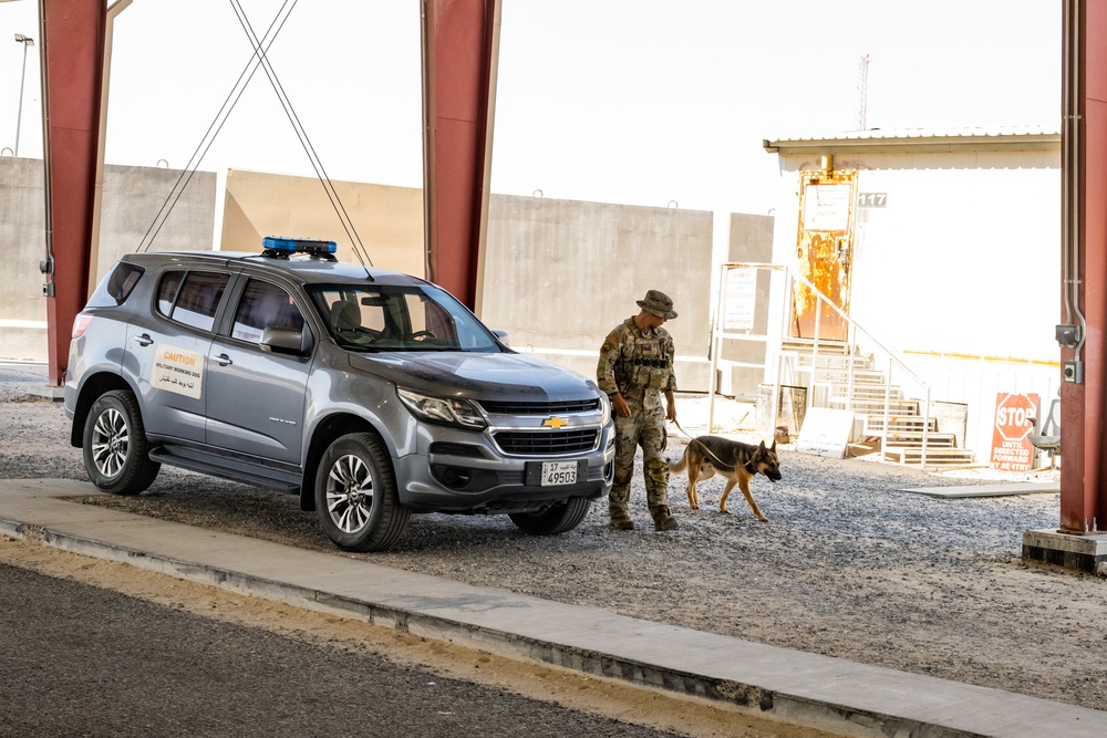 Military Working Dog Team Inspects and Protects