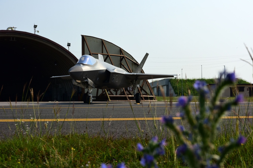 31st FW integrates with 48th FW at Aviano AB to strengthen interoperability