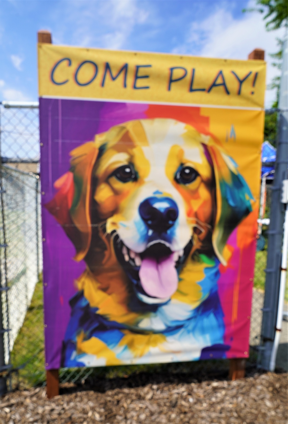 Naval Station Newport Opens Doggie Day Care Facility