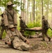 Charlie Company Crucible
