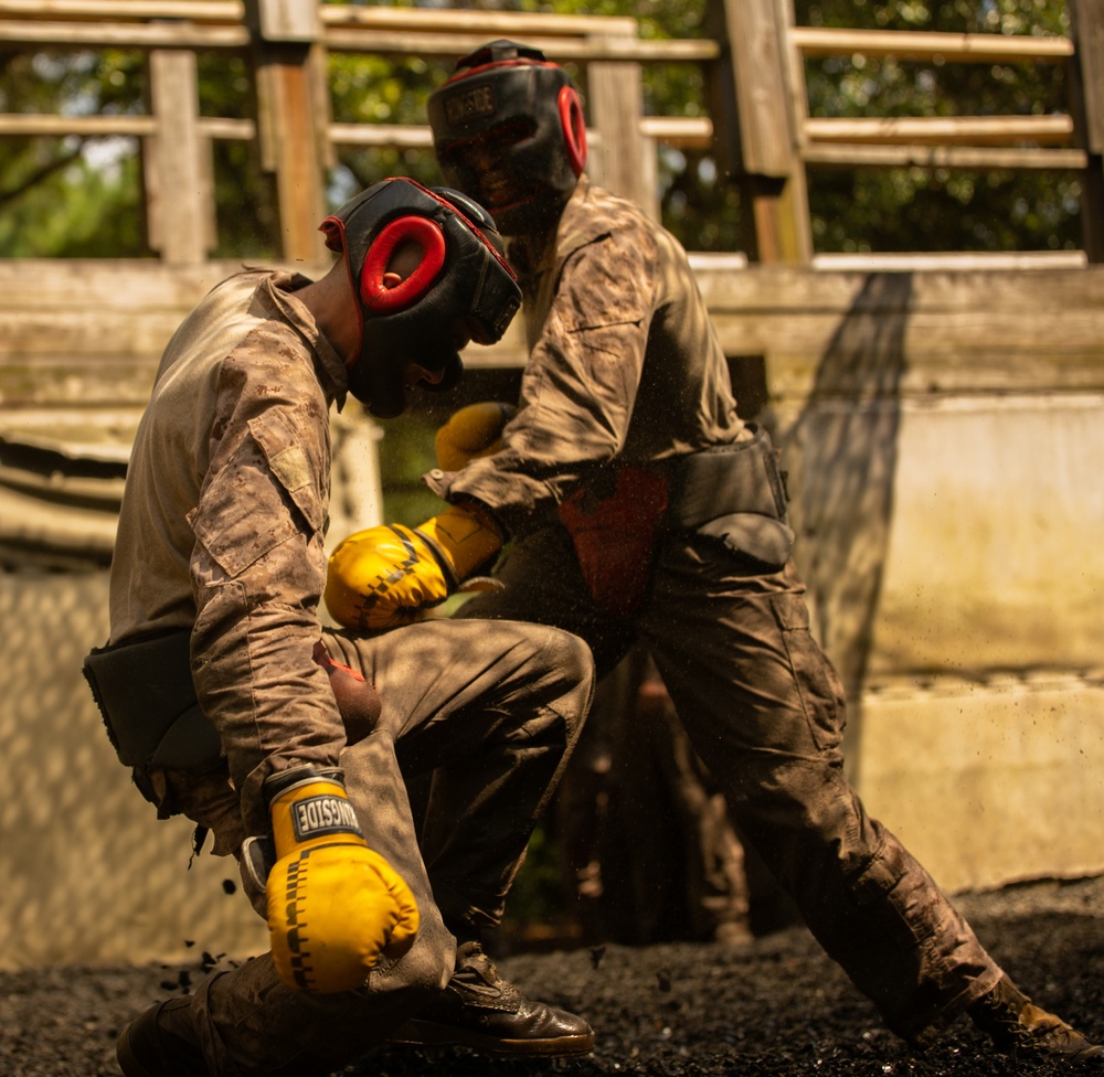 Charlie Company Crucible