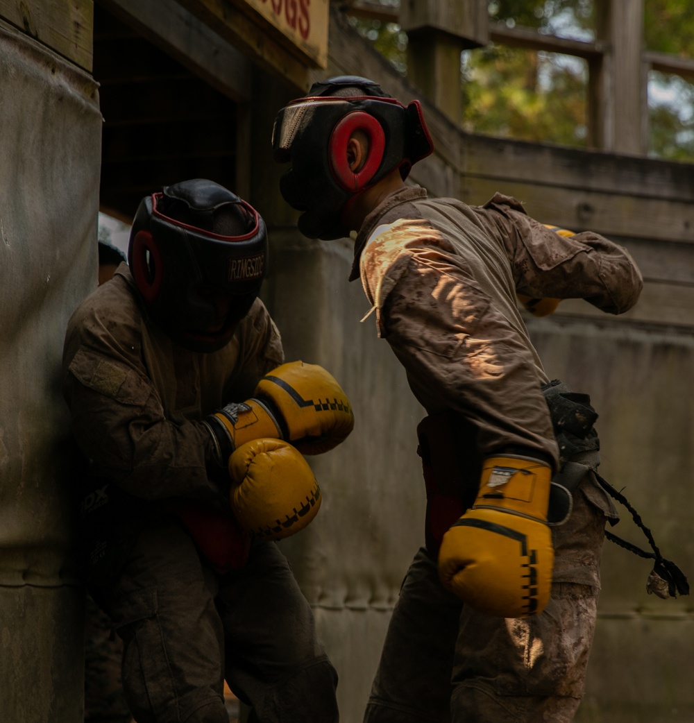 Charlie Company Crucible