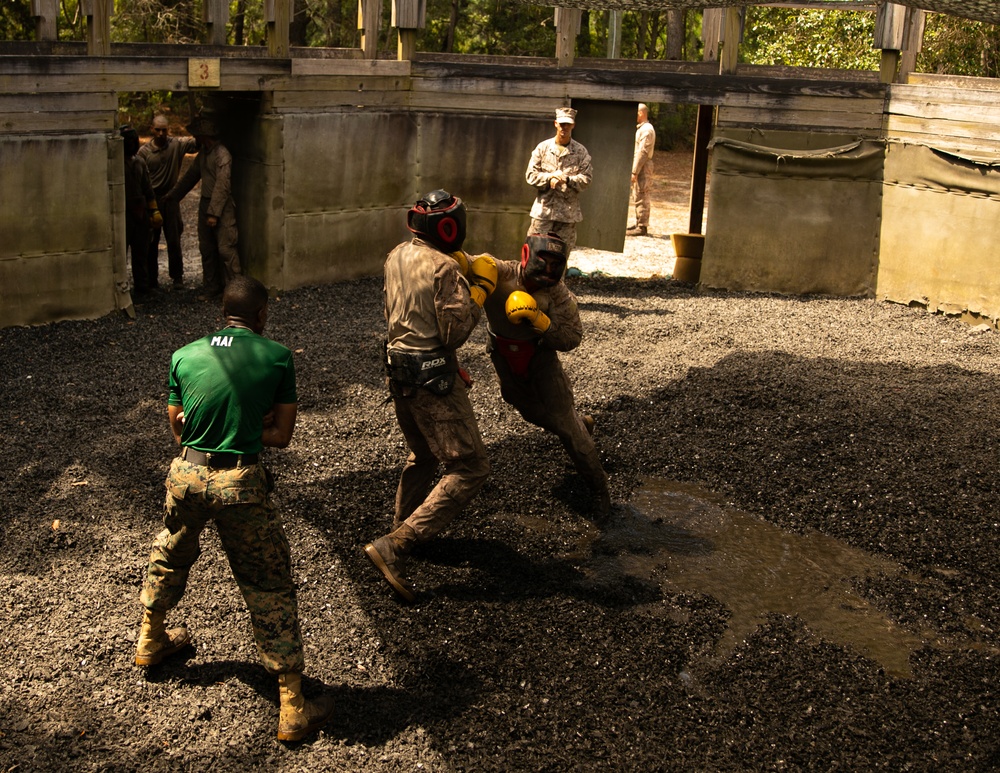 Charlie Company Crucible