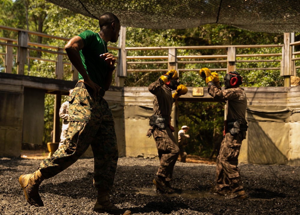 Charlie Company Crucible