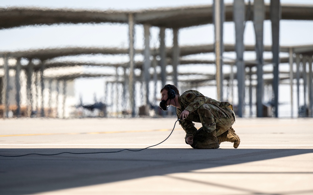 Brig. Gen. Schwartz Flies with the Tigers