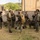 AIMC Conducts Urban Operations Training at MCTAB