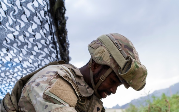 TF51 observe 549th Military Police Company at spot check site