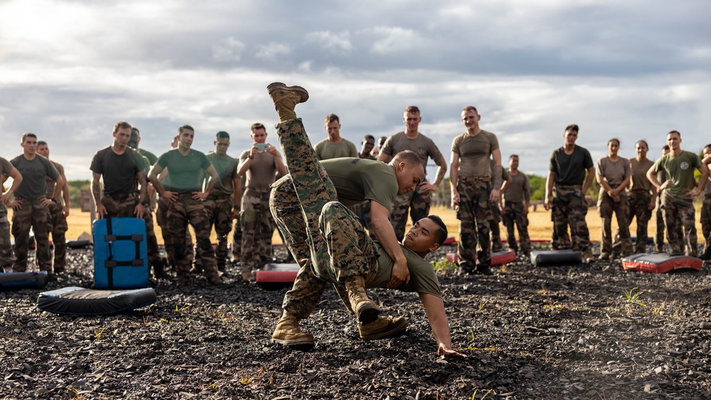 French Armed Forces conduct Global Theatre Strategic Mobility Exercise