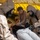 Mission Ready - 102nd Oregon CERFP Completes Their First Evaluation of 2023 Mission Ready - 102nd Oregon CERFP Completes Their First Evaluation of 2023