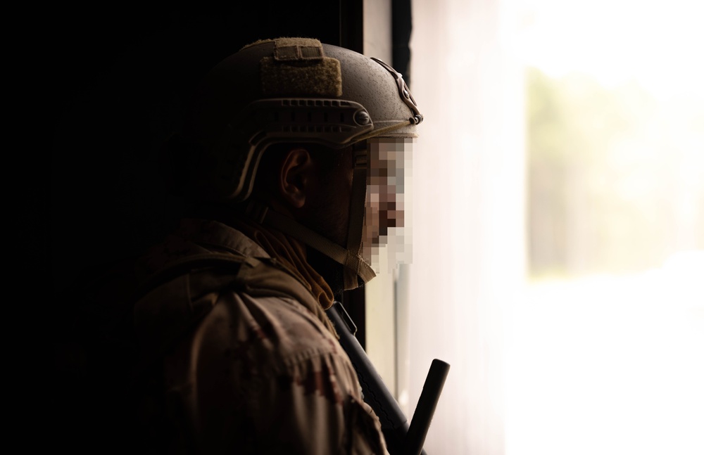 UAE Air Assault