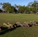 MRF-D, Australian Army participates in MAI Course