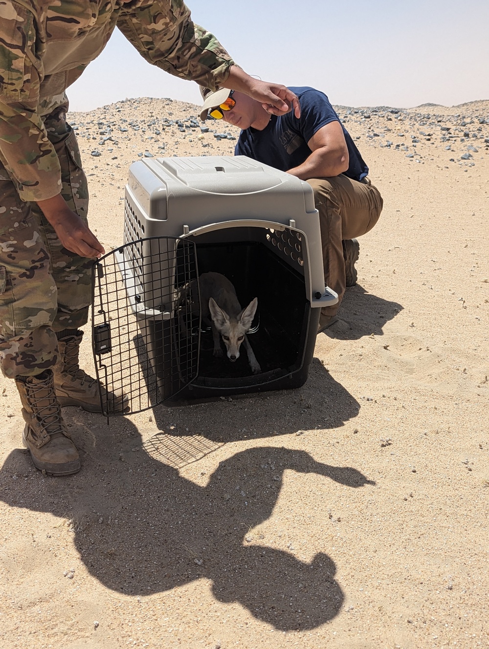 The 386th Expeditionary Civil Engineer Squadron and the United State Department of Agriculture team up!