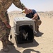 The 386th Expeditionary Civil Engineer Squadron and the United State Department of Agriculture team up!