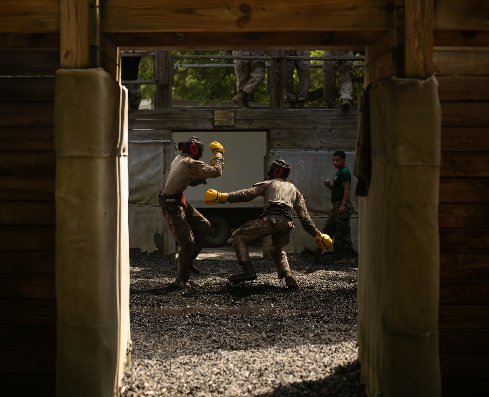 Charlie Company Crucible