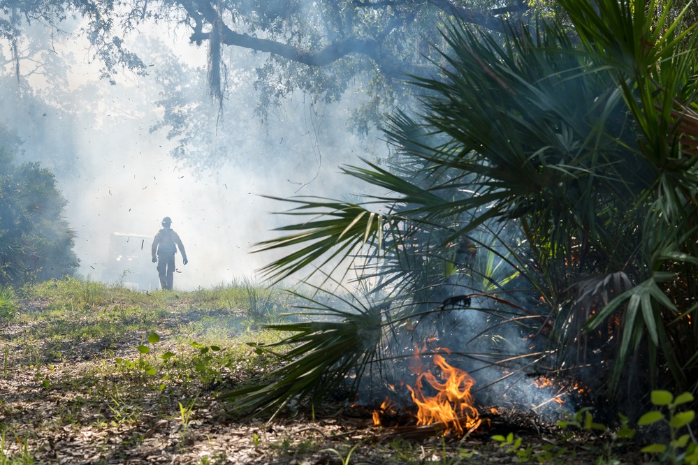 AFWFB executes controlled burn at MacDill