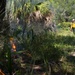 AFWFB executes controlled burn at MacDill