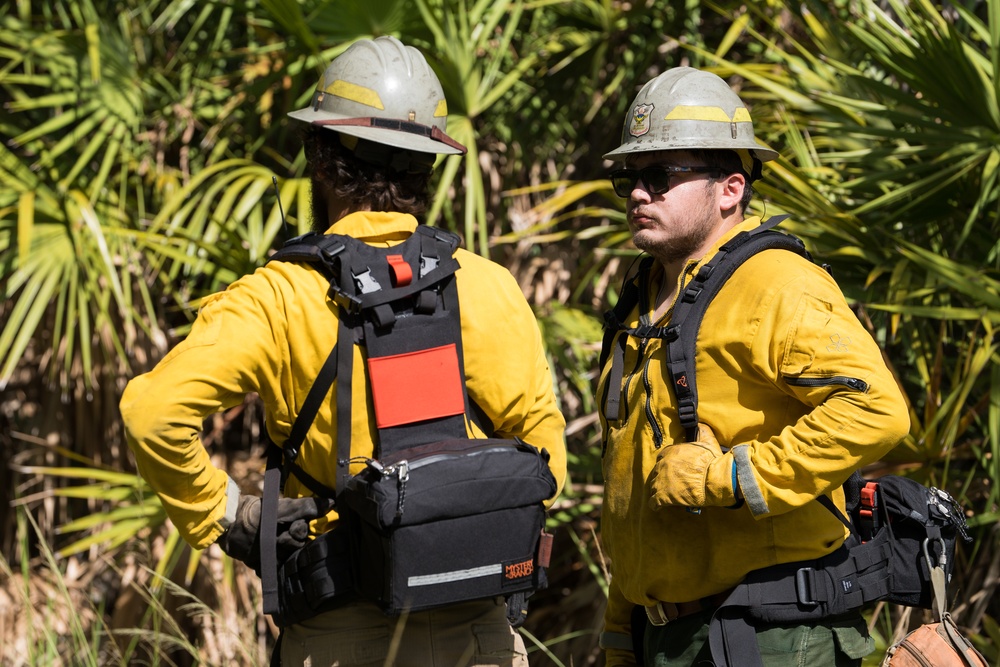 AFWFB executes controlled burn at MacDill