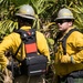 AFWFB executes controlled burn at MacDill