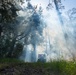 AFWFB executes controlled burn at MacDill