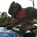 Vermont National Guard Transports Water After Flooding