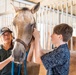 Horsemanship classes provide unique experience for exceptional families at JBSA Fort Sam Houston