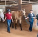 Horsemanship classes provide unique experience for exceptional families at JBSA Fort Sam Houston