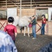 Horsemanship classes provide unique experience for exceptional families at JBSA Fort Sam Houston