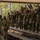 Fort Jackson Basic Training Fort Jackson Basic Training