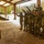 Fort Jackson Basic Training Fort Jackson Basic Training