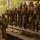 Fort Jackson Basic Training Fort Jackson Basic Training