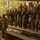 Fort Jackson Basic Training Fort Jackson Basic Training