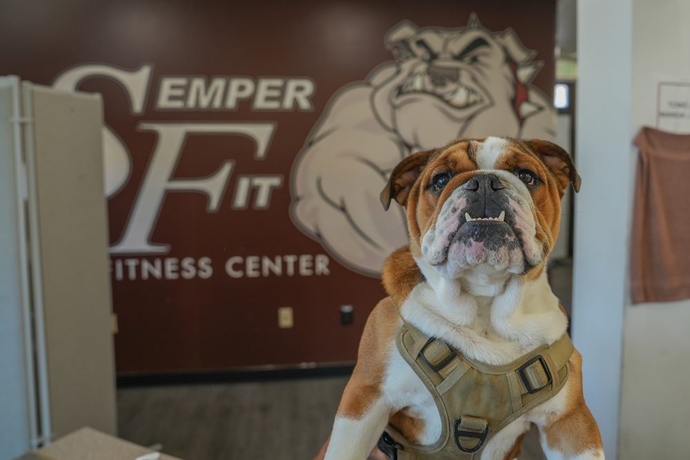 Mascot Monday