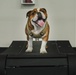Mascot Monday