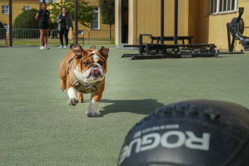 Mascot Monday