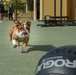 Mascot Monday