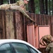 SERE Combat Survival Training