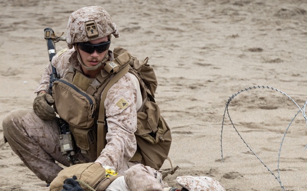 U.S. and Peruvian Marines Final Exercise During Resolute Sentinel 23