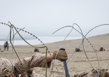 U.S. and Peruvian Marines Final Exercise During Resolute Sentinel 23