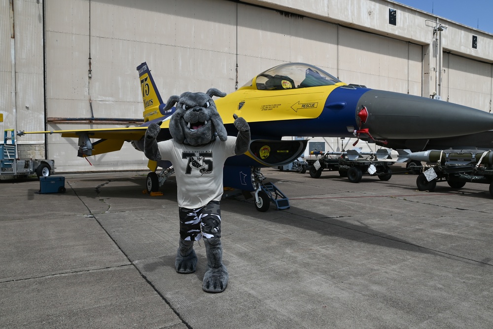 148th Fighter Wing Supports Duluth Airshow