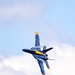 Blue Angels Perform at the Wings Over Wayne Air Show.