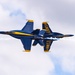 Blue Angels Perform at the Wings Over Wayne Air Show.