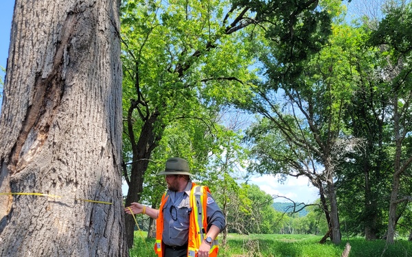 The Corps plants the seeds for success on Goose Island