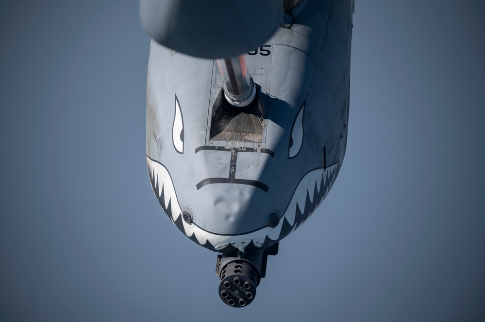 F-16s, A-10s provide maritime security to the Arabian Gulf