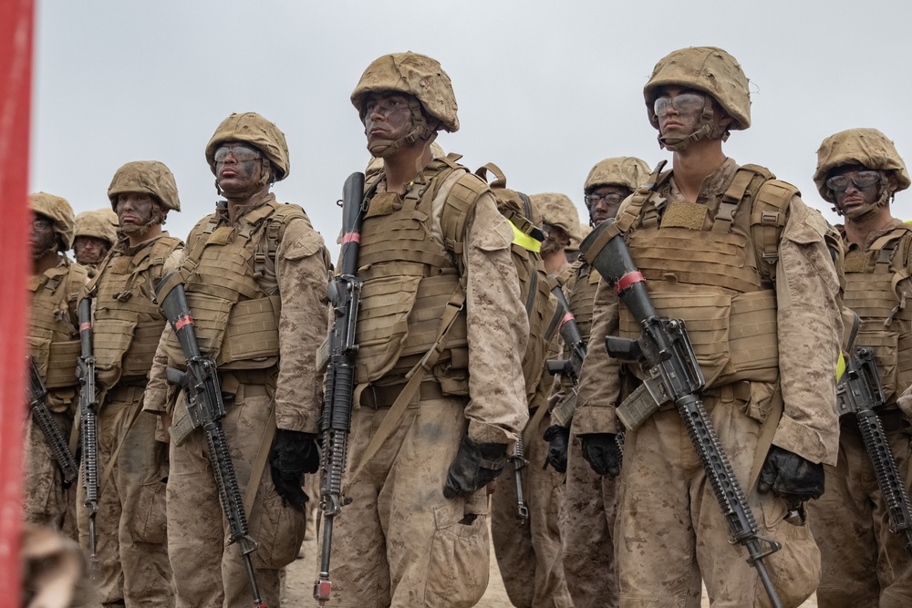 Alpha Company Crucible