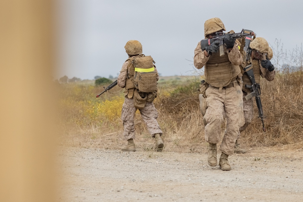 Alpha Company Crucible