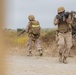 Alpha Company Crucible